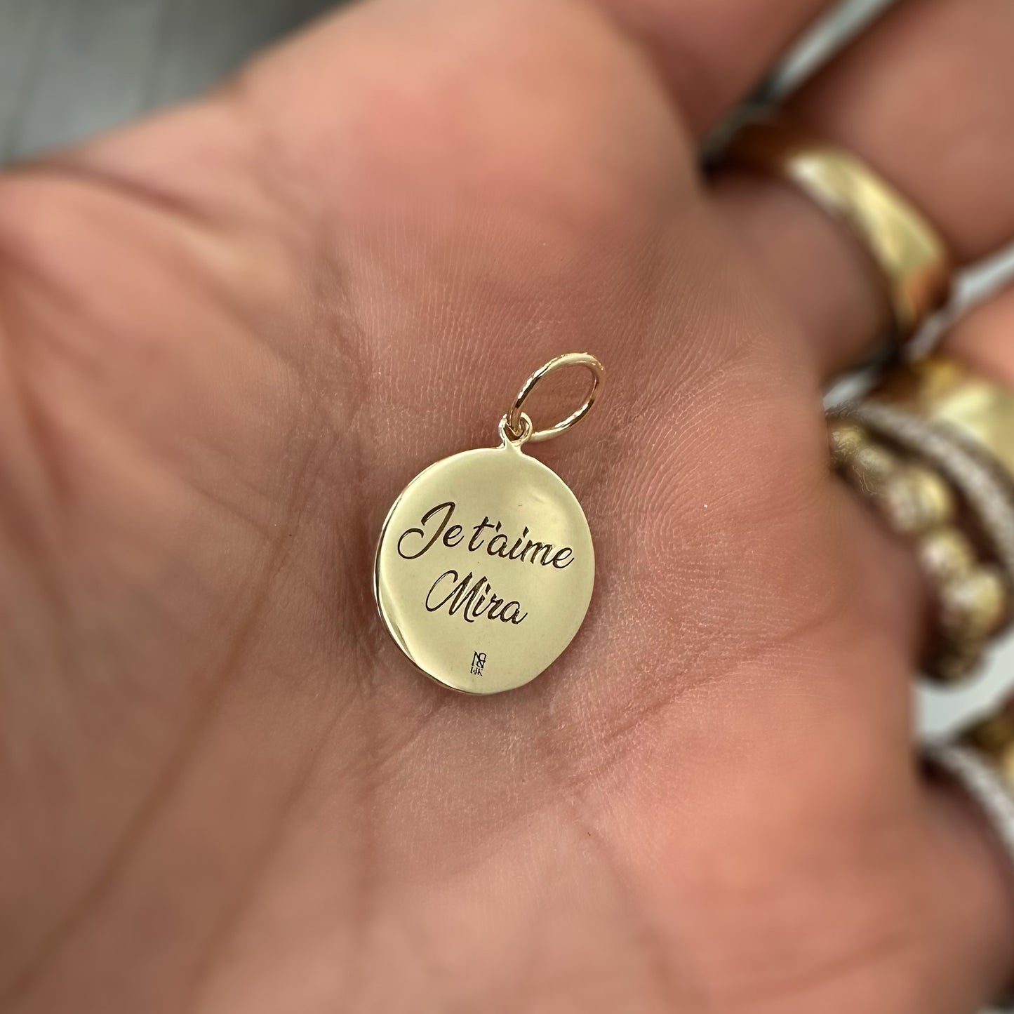 14K Gold Lion Medallion Charm Pendant, Small Size