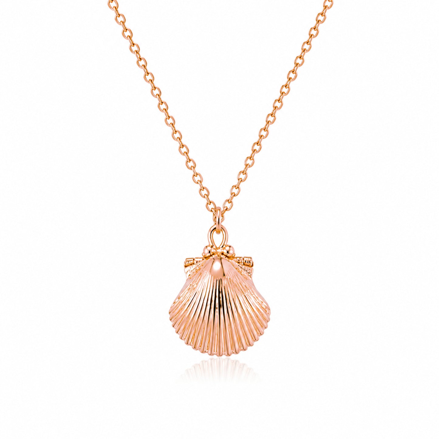 14K Gold Seashell Necklace