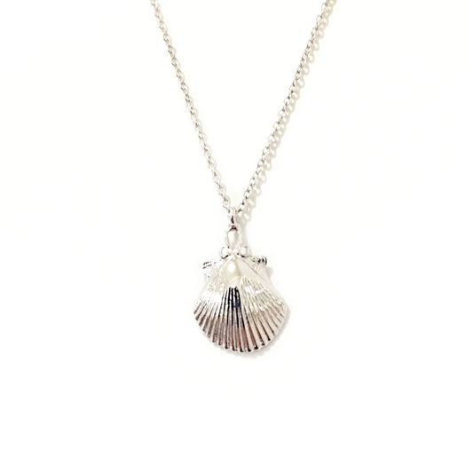 14K Gold Seashell Necklace